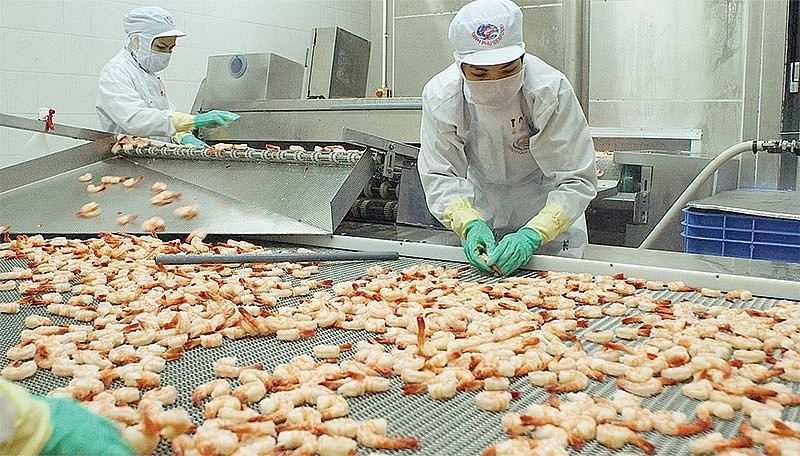 Les États-Unis lèvent l’ordonnance de droit antidumping sur les crevettes du groupe Minh Phu